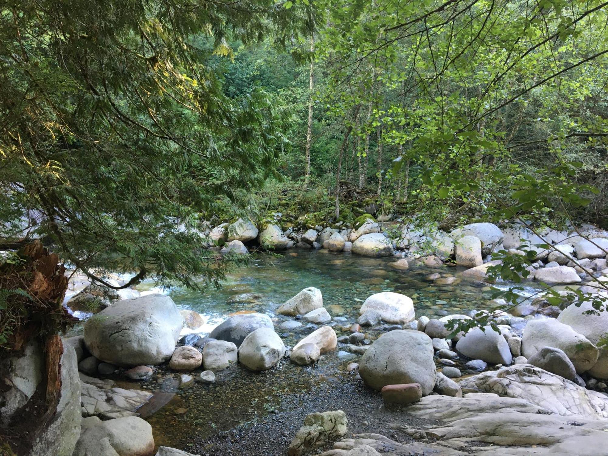 Creekside City Center Suite North Vancouver Ngoại thất bức ảnh